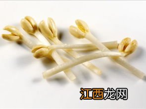 花生怎样生花生芽-花生芽可以吃吗作用如何