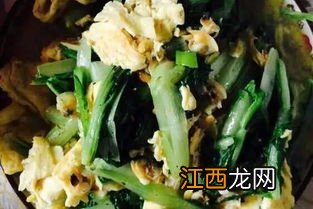 新手炒菜素菜做什么好