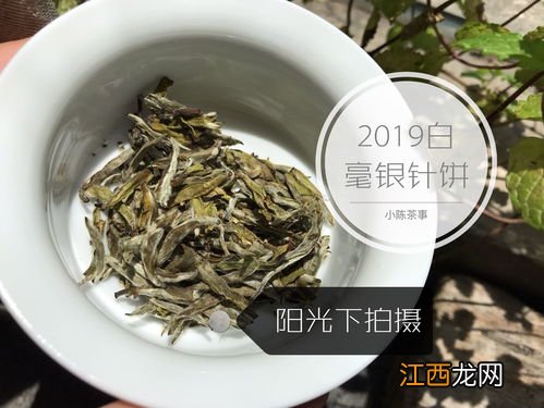 基诺山白毫饼茶怎么喝