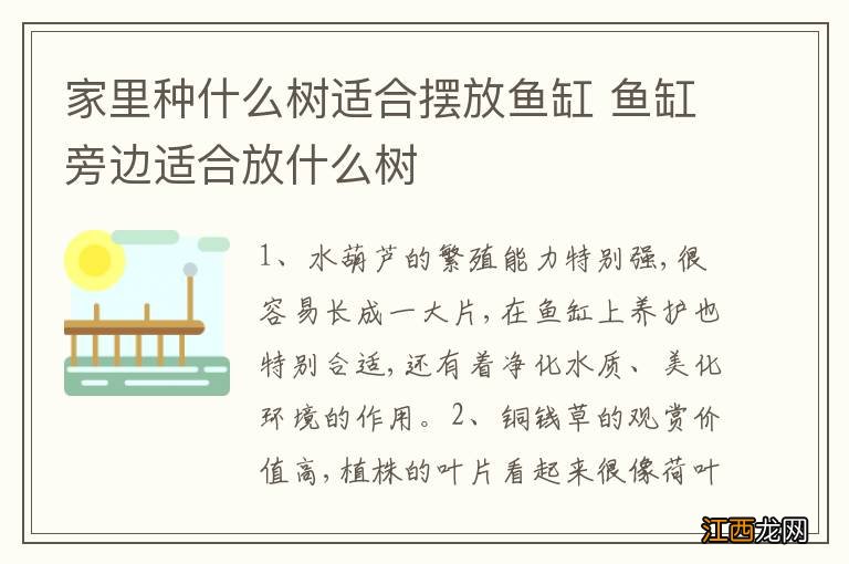 家里种什么树适合摆放鱼缸 鱼缸旁边适合放什么树
