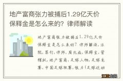 地产富商张力被捕后1.29亿天价保释金是怎么来的？律师解读