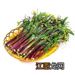 红菜苔的叶子和花要去掉吗-红菜苔哪些部分不能吃