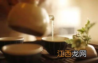 乔木普洱茶可以怎么喝