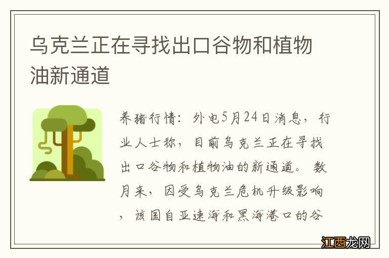 乌克兰正在寻找出口谷物和植物油新通道