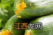 毛冬青茶有什么功效和作用 毛冬青茶喝了有什么好处