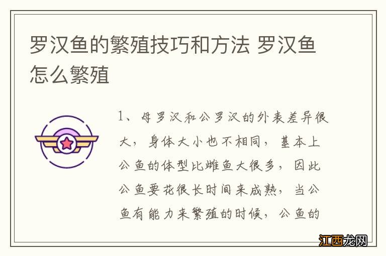 罗汉鱼的繁殖技巧和方法 罗汉鱼怎么繁殖