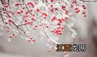 下雪了的说说有哪些 下雪了的说说