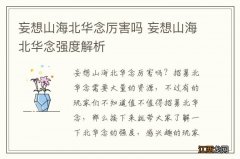 妄想山海北华念厉害吗 妄想山海北华念强度解析