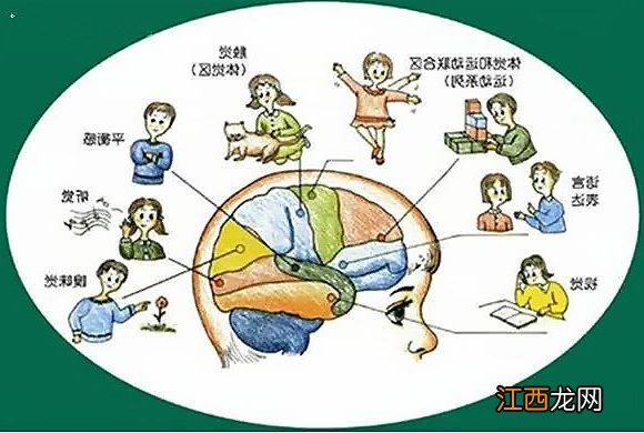 孩子3岁前太好动或者太内向?有可能是身体这个地方出问题了