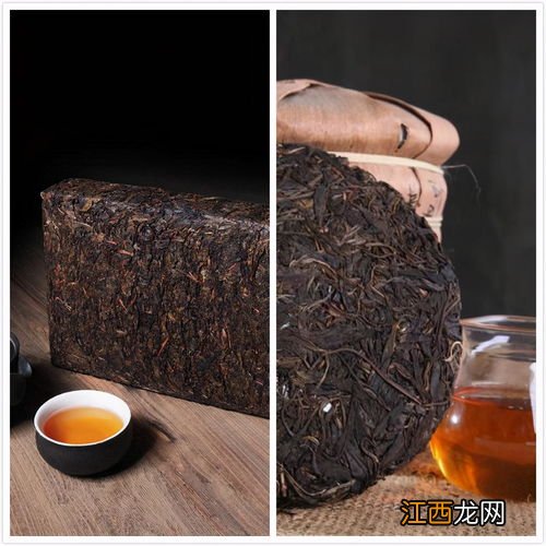 怎么区分黑茶和普洱茶