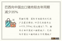 巴西向中国出口猪肉较去年同期减少35%