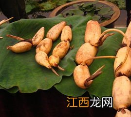 新鲜的莲藕怎么选