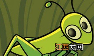 怎么养蟋蟀 怎么养蟋蟀的视频