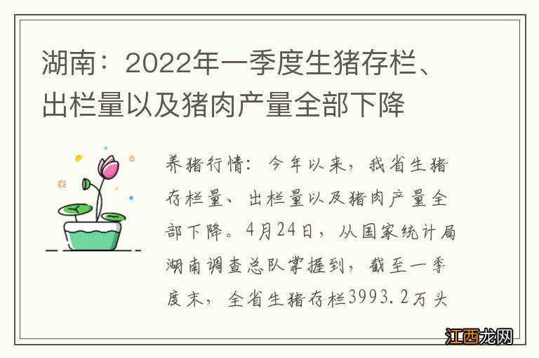 湖南:2022年一季度生猪存栏、出栏量以及猪肉产量全部下降