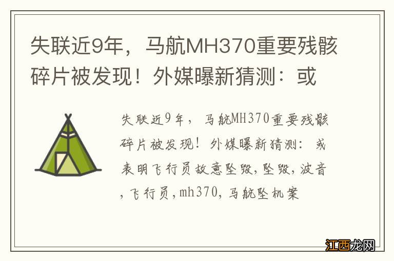 失联近9年，马航MH370重要残骸碎片被发现！外媒曝新猜测：或表明飞行员故意坠毁