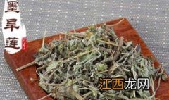 墨旱莲染发方法 墨旱莲染发的办法是什么