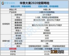 大麦定寿2020是哪个公司的产品？