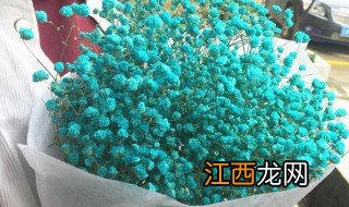 勿忘我干花怎么养 如何养勿忘我干花