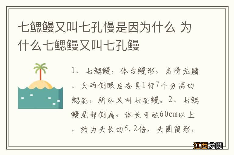 七鳃鳗又叫七孔慢是因为什么 为什么七鳃鳗又叫七孔鳗