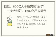 刚刚，800亿大牛股突然“崩了”！一条大利好，1600亿巨头飙升20%