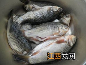 衸暧阍趺醋龊贸苑?