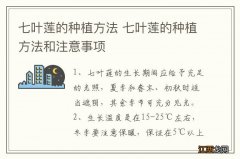 七叶莲的种植方法 七叶莲的种植方法和注意事项