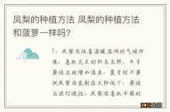 凤梨的种植方法 凤梨的种植方法和菠萝一样吗?