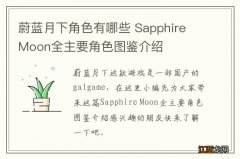 蔚蓝月下角色有哪些 Sapphire Moon全主要角色图鉴介绍