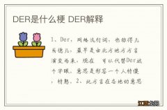 DER是什么梗 DER解释