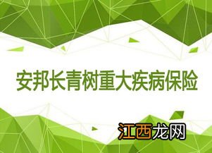 投保安邦长青树需要注意哪些细节问题？