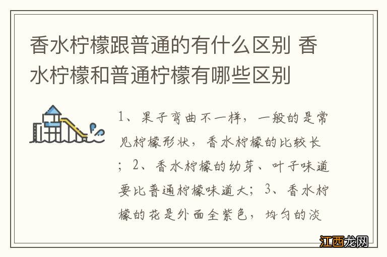 香水柠檬跟普通的有什么区别 香水柠檬和普通柠檬有哪些区别