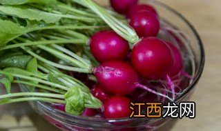 甜菜根在中国叫什么 甜菜根在中国的名字