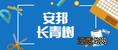 长青树重疾险是哪个公司的产品？