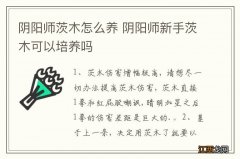 阴阳师茨木怎么养 阴阳师新手茨木可以培养吗