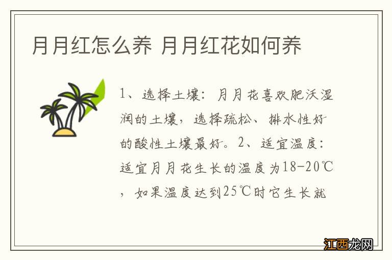 月月红怎么养 月月红花如何养