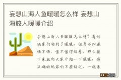 妄想山海人鱼暖暖怎么样 妄想山海鲛人暖暖介绍