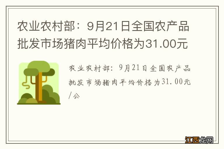 农业农村部：9月21日全国农产品批发市场猪肉平均价格为31.00元/公