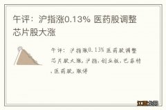 午评：沪指涨0.13% 医药股调整芯片股大涨