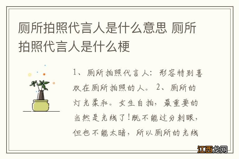 厕所拍照代言人是什么意思 厕所拍照代言人是什么梗