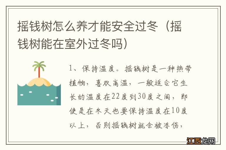 摇钱树能在室外过冬吗 摇钱树怎么养才能安全过冬