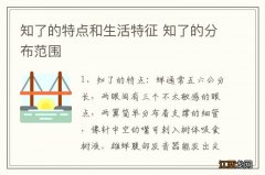 知了的特点和生活特征 知了的分布范围