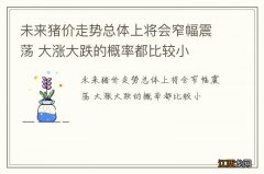 未来猪价走势总体上将会窄幅震荡 大涨大跌的概率都比较小