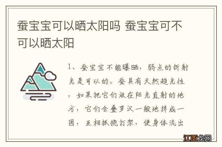 蚕宝宝可以晒太阳吗 蚕宝宝可不可以晒太阳