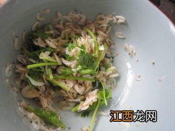虾皮香菜凉拌怎么办