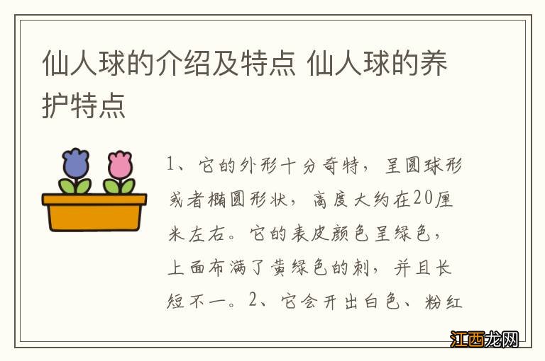 仙人球的介绍及特点 仙人球的养护特点