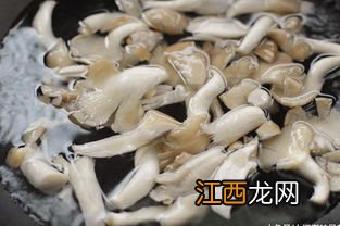 袖珍菇做什么菜