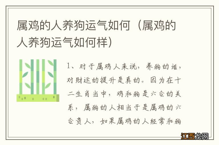 属鸡的人养狗运气如何样 属鸡的人养狗运气如何