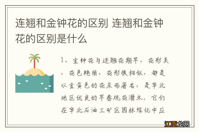 连翘和金钟花的区别 连翘和金钟花的区别是什么