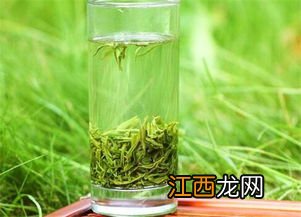 毛尖红茶怎么样