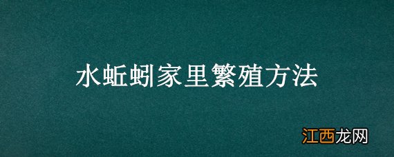 水蚯蚓家里繁殖方法 水蚯蚓家里繁殖方法图解